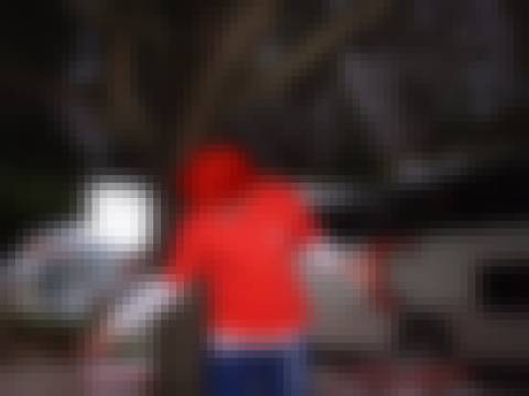 Memória por revelar