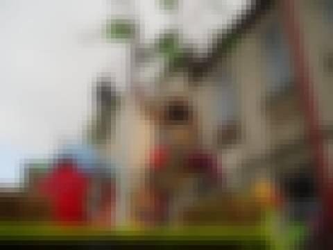 Memória por revelar