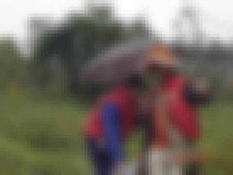 Memória por revelar