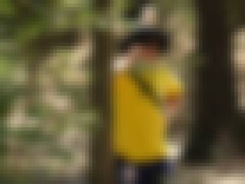 Memória por revelar