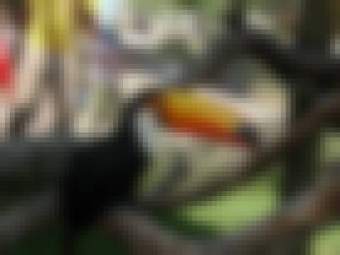 Memória por revelar