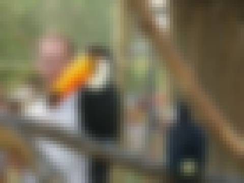 Memória por revelar
