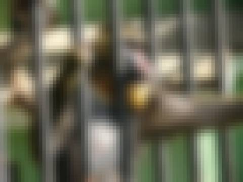 Memória por revelar