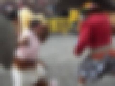 Memória por revelar