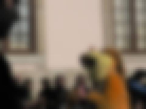Memória por revelar