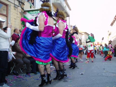 Zsazsa's 2009