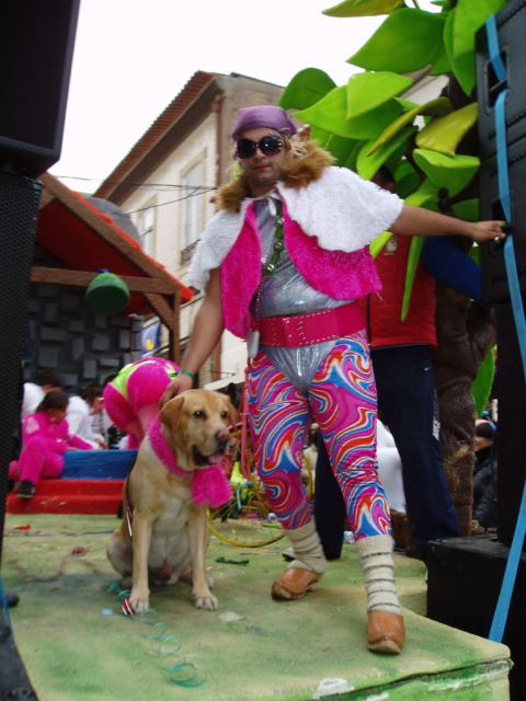 Zsazsa's 2010